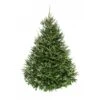 5 Ft. To 6 Ft. Freshly Cut Fraser Fir Live Christmas Tree (Real, Naturally-Grown) 14 5 Ft. To 6 Ft. Freshly Cut Fraser Fir Live Christmas Tree (Real, Naturally-Grown) -Northlight Shop online orchards real christmas trees chff506 64 1000
