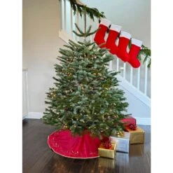 4 Ft. To 5 Ft. Freshly Cut Nordmann Fir Live Christmas Tree (Real, Natural, Oregon-Grown) -Northlight Shop online orchards real christmas trees chmf405 c3 1000