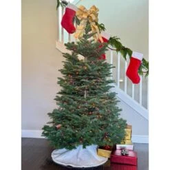 7.5 Ft. Freshly Cut Noble Fir Live Christmas Tree (Real, Natural, Oregon-Grown) -Northlight Shop online orchards real christmas trees chnf075 1f 1000
