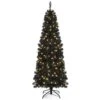 6 Ft. Black Pre-Lit LED Artificial Christmas Tree With PVC Branch Tips And Warm White Lights