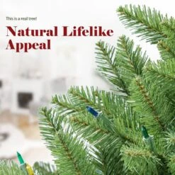 4.5ft. Fir Christmas Tree W/ Pre-Strung Multi-Color Lights Pre-Lit Artificial Christmas Tree Includes Sturdy Metal Stand 13 4.5ft. Fir Christmas Tree W/ Pre-Strung Multi-Color Lights Pre-Lit Artificial Christmas Tree Includes Sturdy Metal Stand -Northlight Shop pre lit christmas trees rw185613004 44 1000