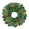 24 In. Green Prelit Magnolia Artificial Christmas Wreath With Pinecones