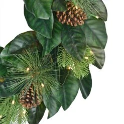 24 In. Green Prelit Magnolia Artificial Christmas Wreath With Pinecones 7 24 In. Green Prelit Magnolia Artificial Christmas Wreath With Pinecones -Northlight Shop puleo international christmas garland 3819 w24lw05 bo fa 1000