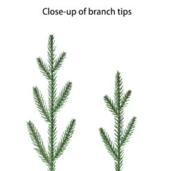 3 Ft. Pre-Lit Artificial Christmas Tree In Burlap Sac Base -Northlight Shop puleo international pre lit christmas trees 51011 st30g15lw05 bo 44 1000