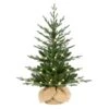 3 Ft. Pre-Lit Artificial Christmas Tree In Burlap Sac Base 10 3 Ft. Pre-Lit Artificial Christmas Tree In Burlap Sac Base -Northlight Shop puleo international pre lit christmas trees 51011 st30g15lw05 bo 64 1000