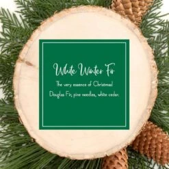 Scented Ornaments, 6ct Bottle, White Winter Fir, Fragrance-Infused Paper Sticks, 2 Pack -Northlight Shop scentsicles christmas ornament sets sc106 ww0159 2 4f 1000