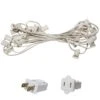 25 Ft. C7/E12 White Wire Socket Stringer With 12 In. Spacing 2 25 Ft. C7/E12 White Wire Socket Stringer With 12 In. Spacing -Northlight Shop wintergreen lighting christmas light accessories 15072 64 1000