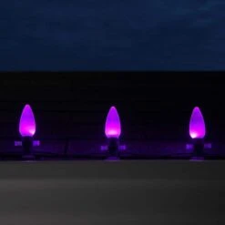 OptiCore C9 LED Purple Smooth/Opaque Shatter-Resistant Replacement Light Bulbs (25-Pack) -Northlight Shop wintergreen lighting christmas light bulbs 74058 1f 1000