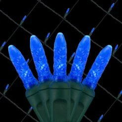 48 In. X 72 In. 100-Light M5 LED Blue Net Light Set