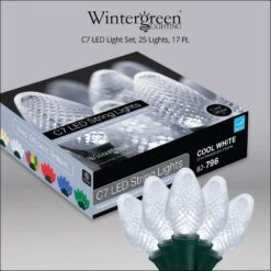 SuperBright 16 Ft. 25-Light Cool White C7 String LED Light Set 11 SuperBright 16 Ft. 25-Light Cool White C7 String LED Light Set -Northlight Shop wintergreen lighting christmas string lights 20339 44 1000