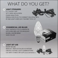 OptiCore 24 Ft. 25-Light LED Gold Faceted C7 String Light Set -Northlight Shop wintergreen lighting christmas string lights 77783 44 1000