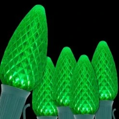 OptiCore 24 Ft. 25-Light Green LED Faceted C9 String Light Set