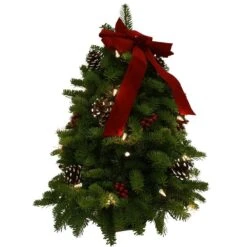18 In. Balsam Fir Classic Fresh Cut Fresh Pre-Lit Tabletop Tree Arrangement : Multiple Ship Weeks Available