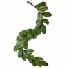 5 Ft. Magnolia Leaf Garland -Northlight Shop worth imports christmas garland 7165 64 1000